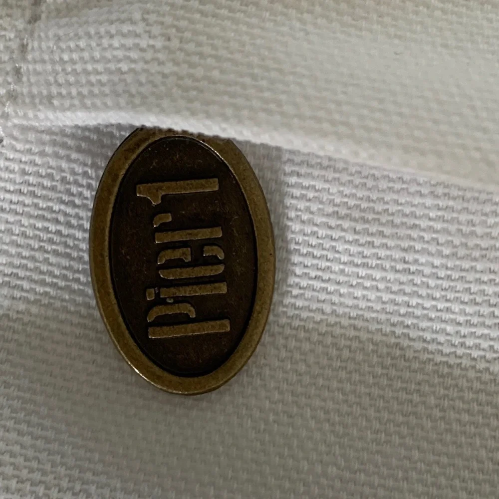 Pier one pillow Case